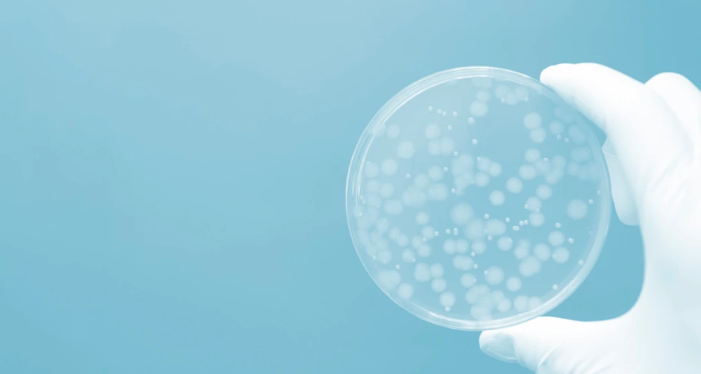 Microbes