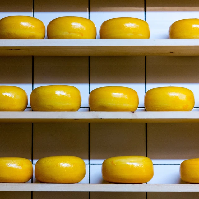 Cheese on storage
