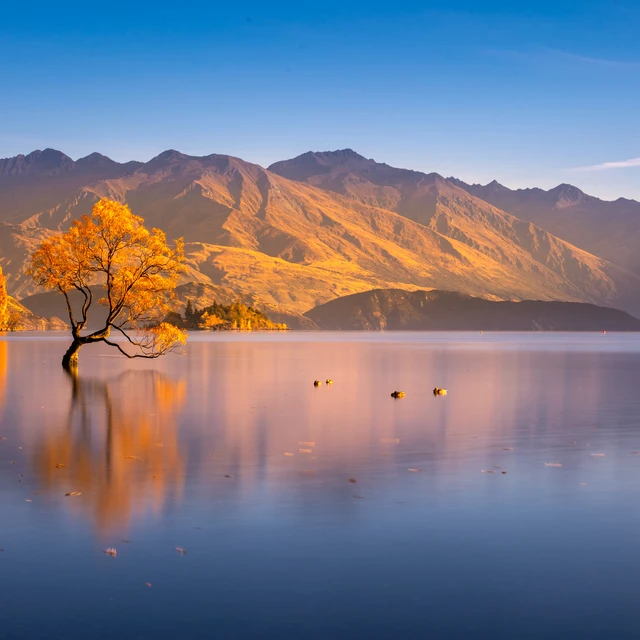 Australia NZ and Oceania