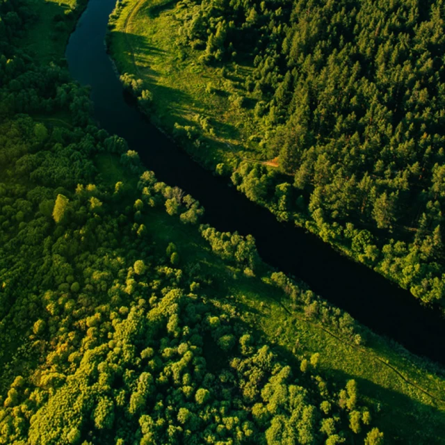 River going through green nature