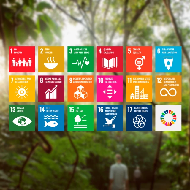 SDG icons