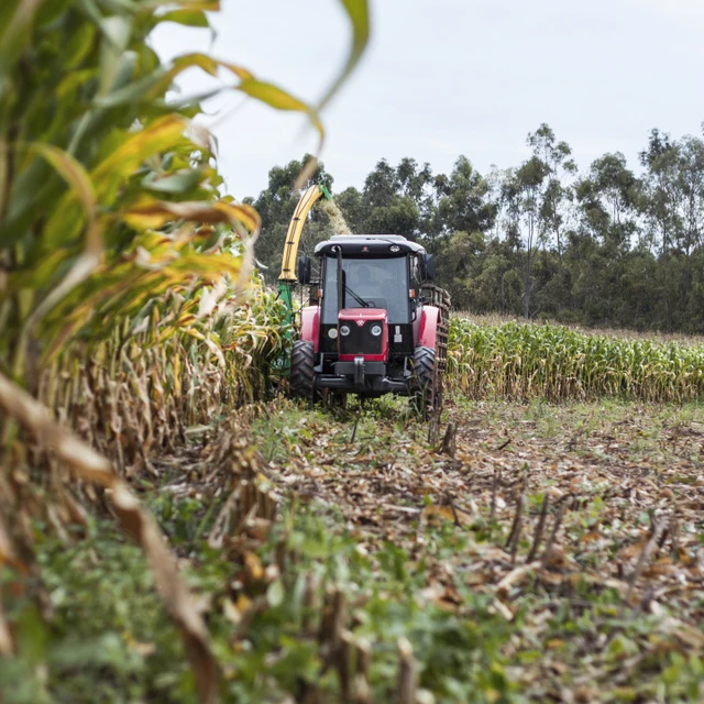 Tractor in cornfield