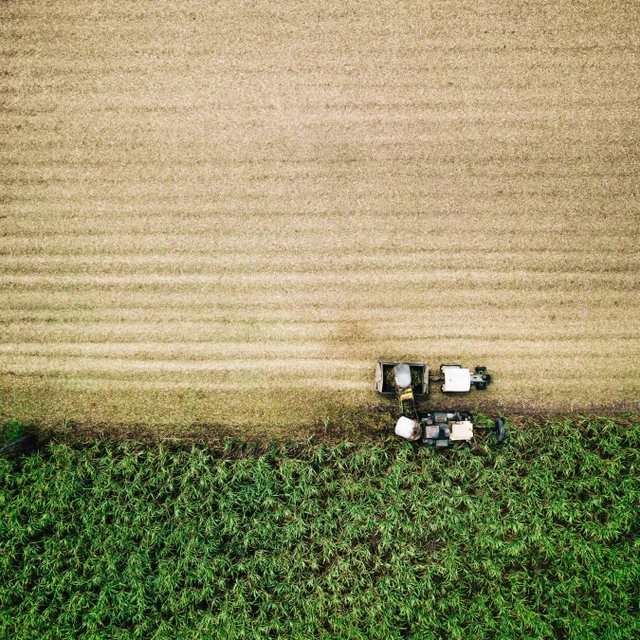 Tractor on cropfield