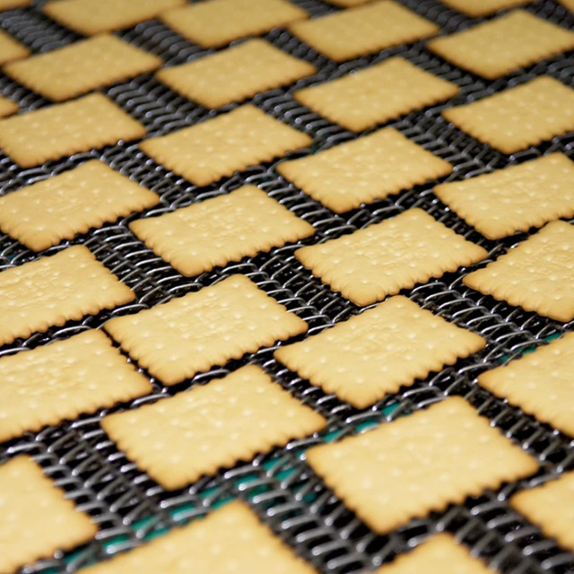 biscuits on conveyer belt