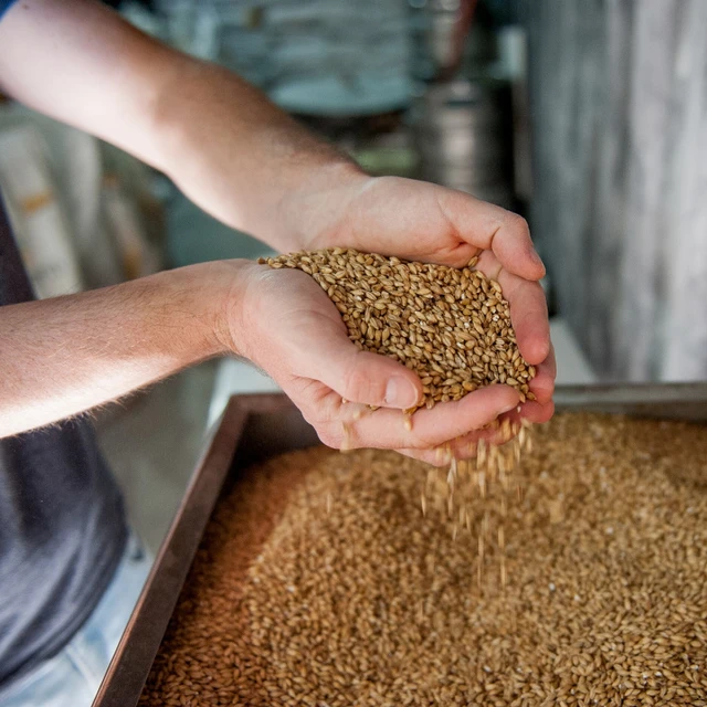 Cooking malt cereal