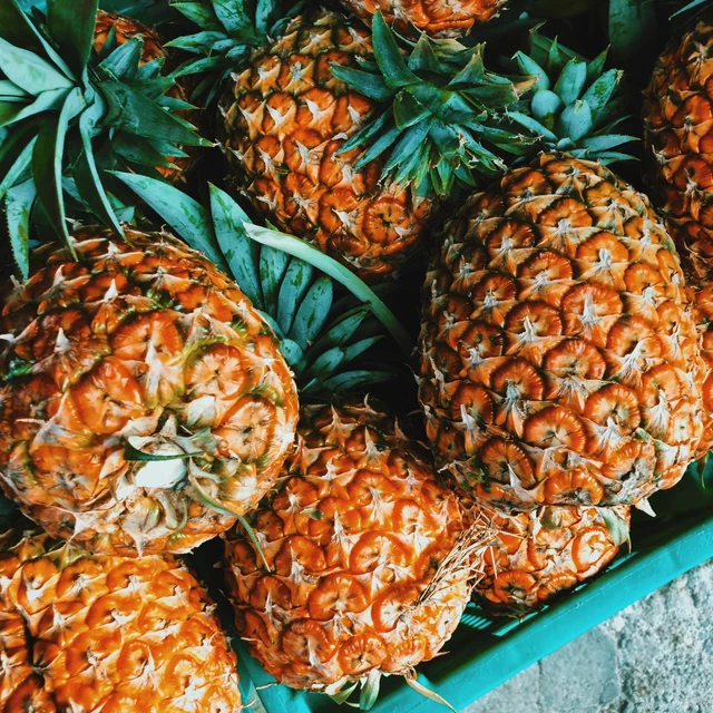 Tropical fruit pineapple