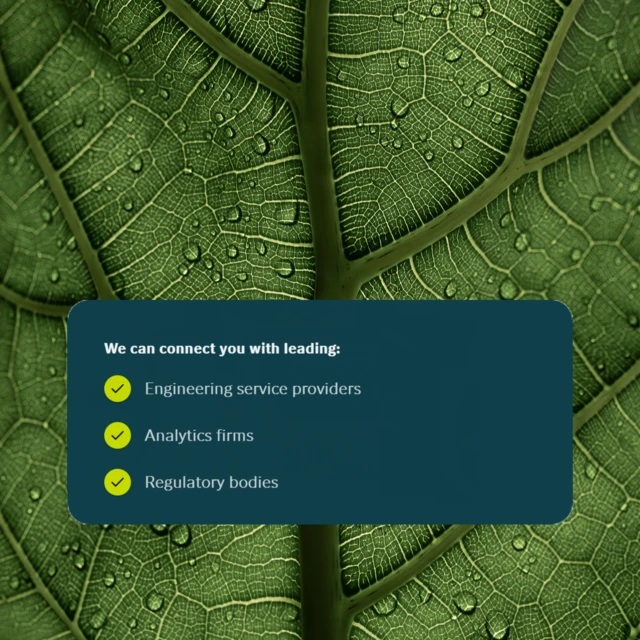 bioenergy