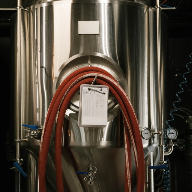brewing fermentation