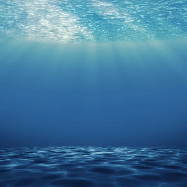 AOCS_Under_the_sea