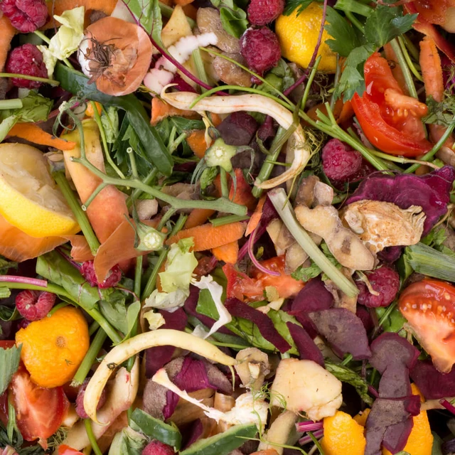 Food waste for biogas