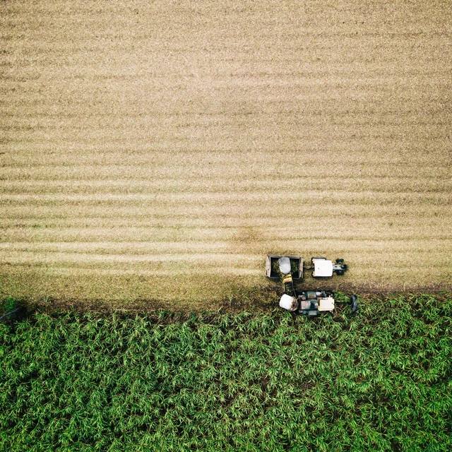tractor on cropfield