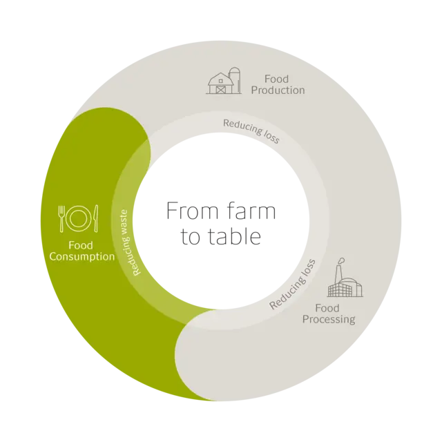 Transform Model - Food consumption