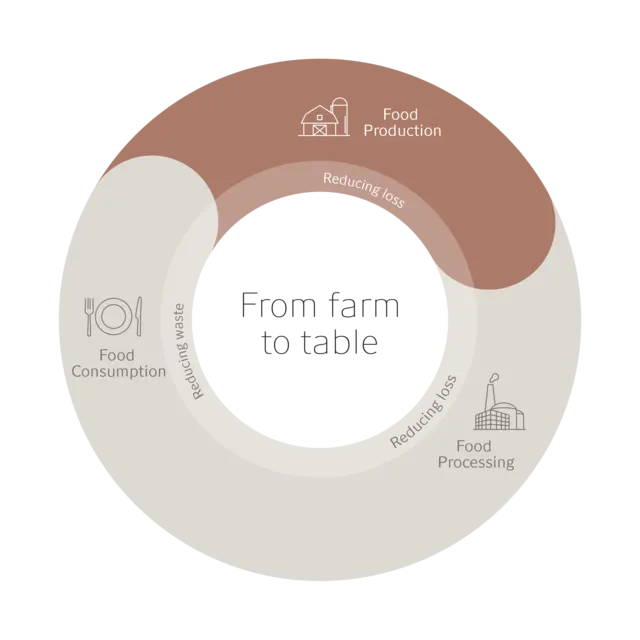 Transform model - Food production