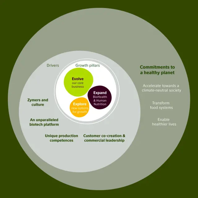 Novozymes strategy