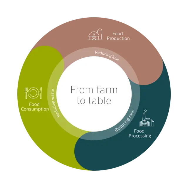 Transform model - From farm to table