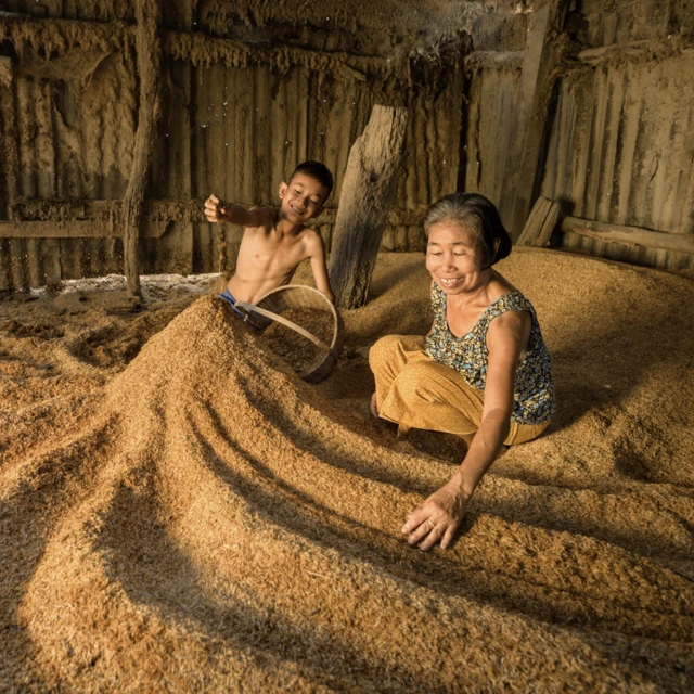 Rice processing