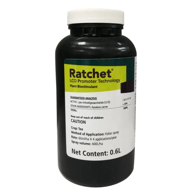 Ratchet® for Tea