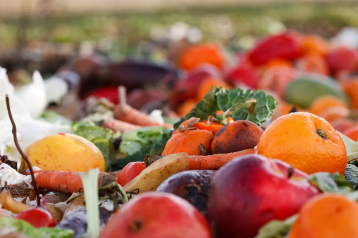 Biogas from food waste