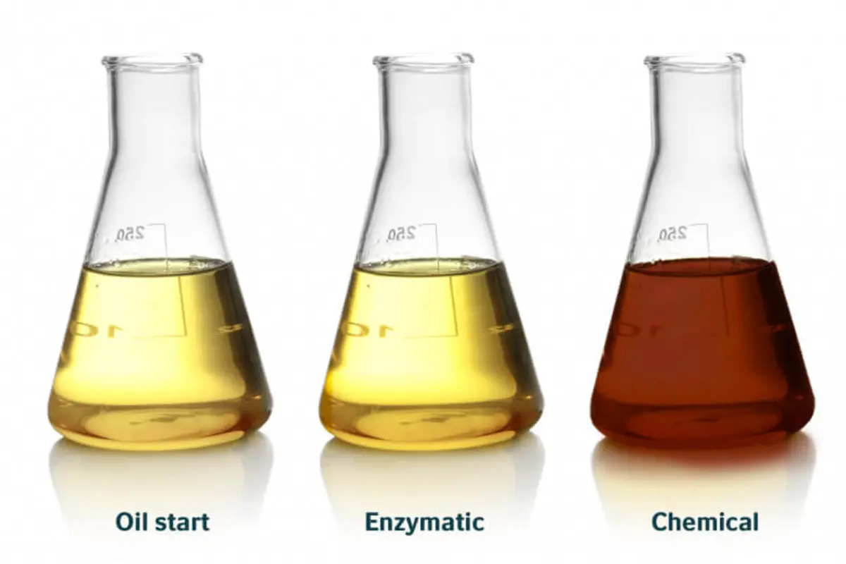 Enzymatic interesterification color profile