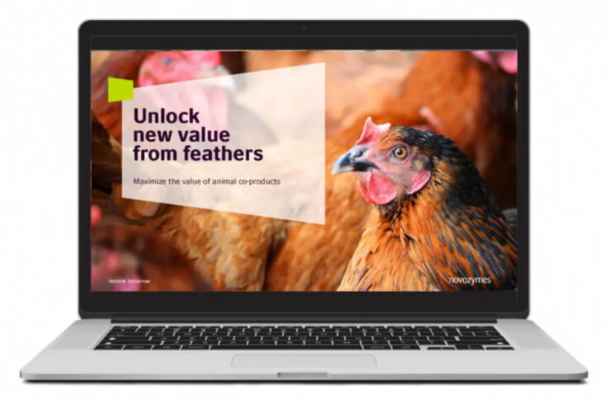 Unlock new value from feathers brochure