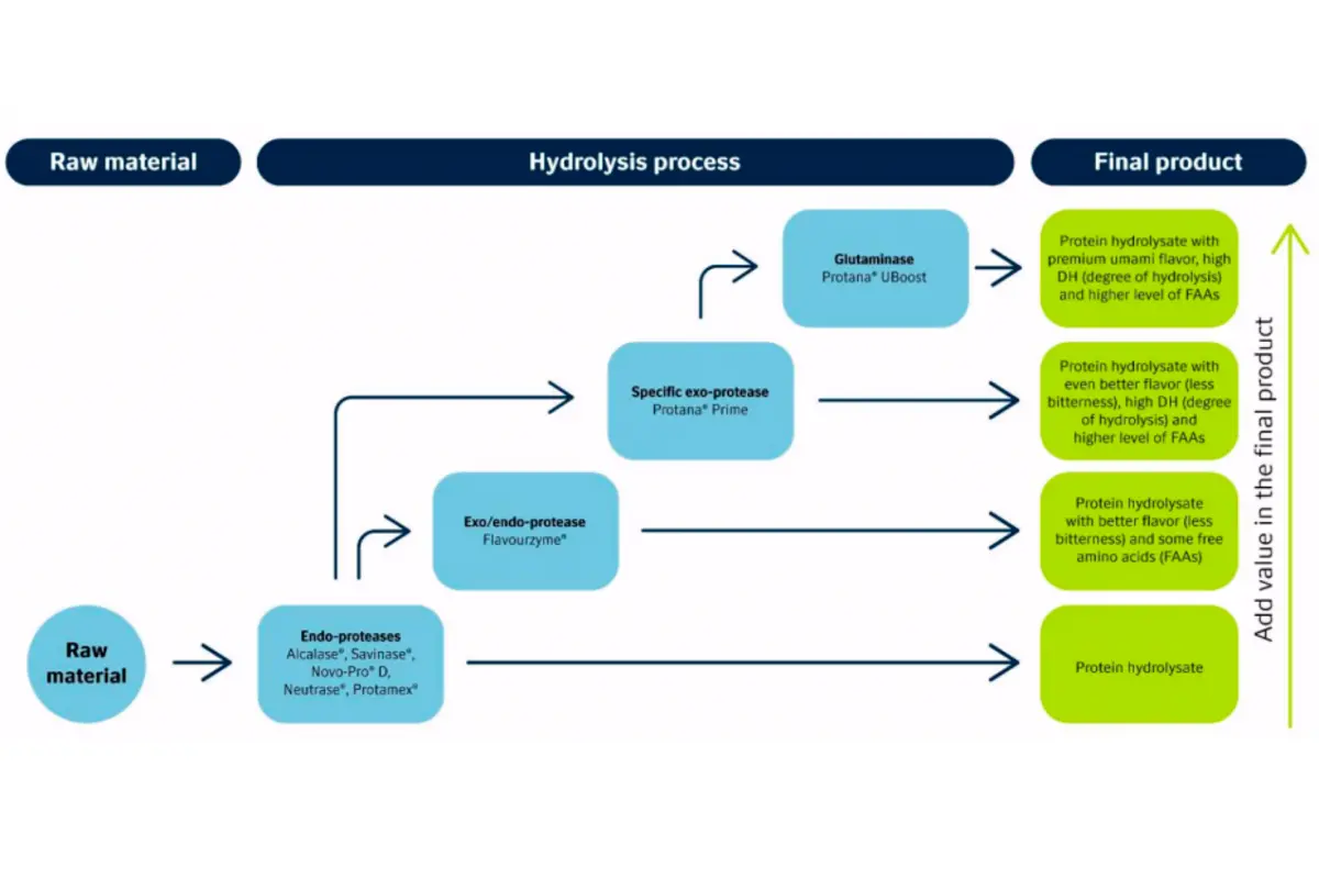 Hydrolysis process