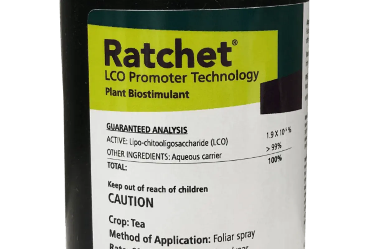 Ratchet Pack shot