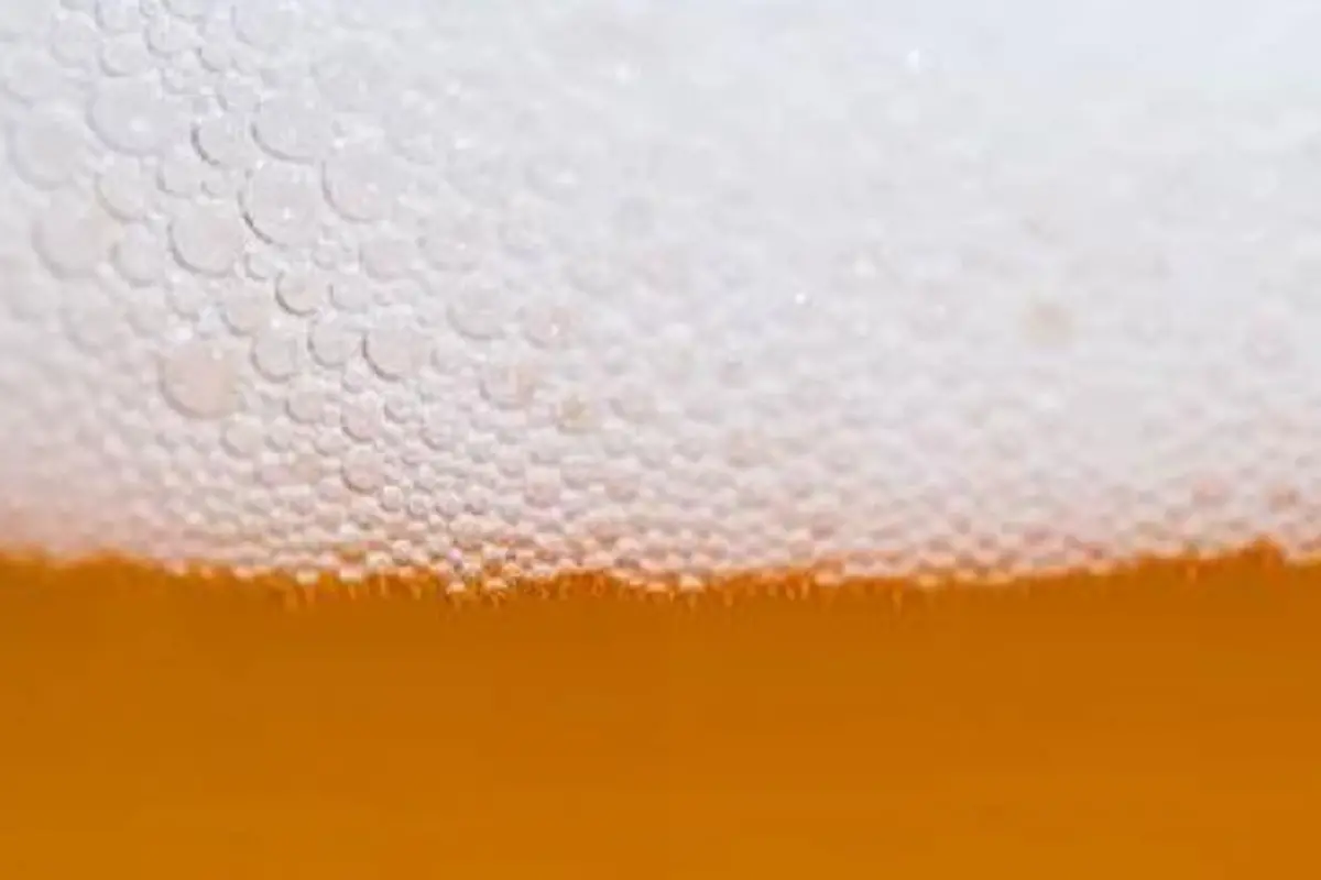 beer close-up