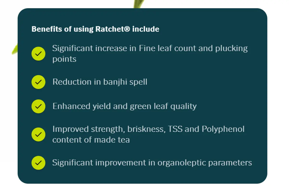 factbox benefits of ratchet