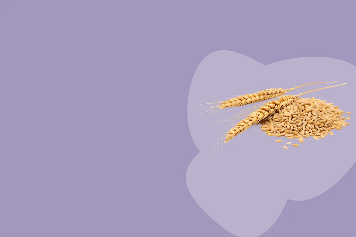 wheat and grain on the right under purple background