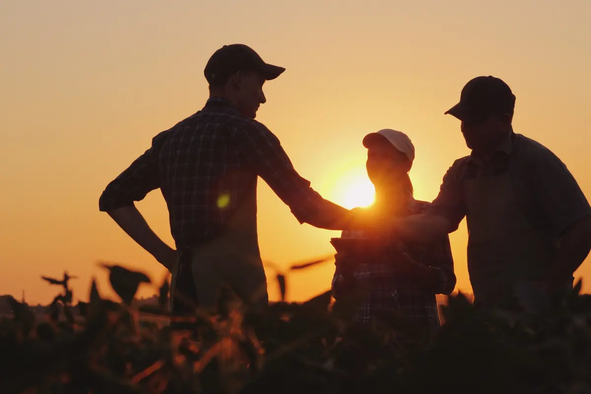 farmers talking on the farming fields at sunset