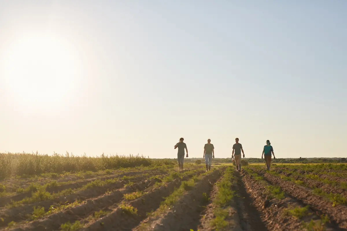 4 farmers walking on a farming field