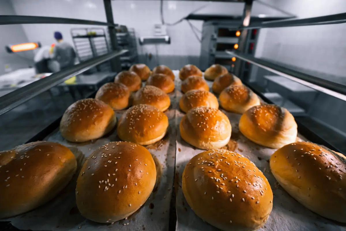 Quality baked buns on tray in a baking production facility