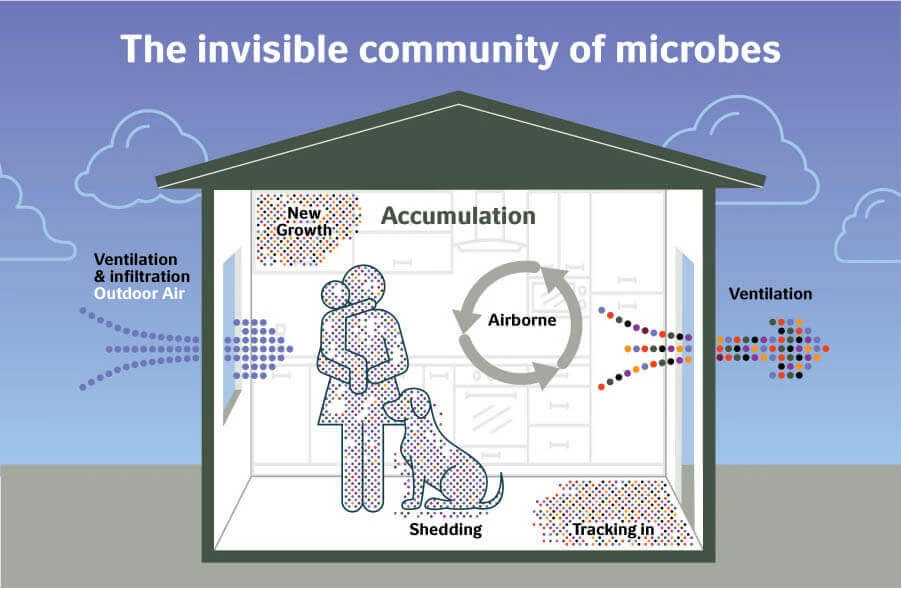 Invisible community of microbes graphic