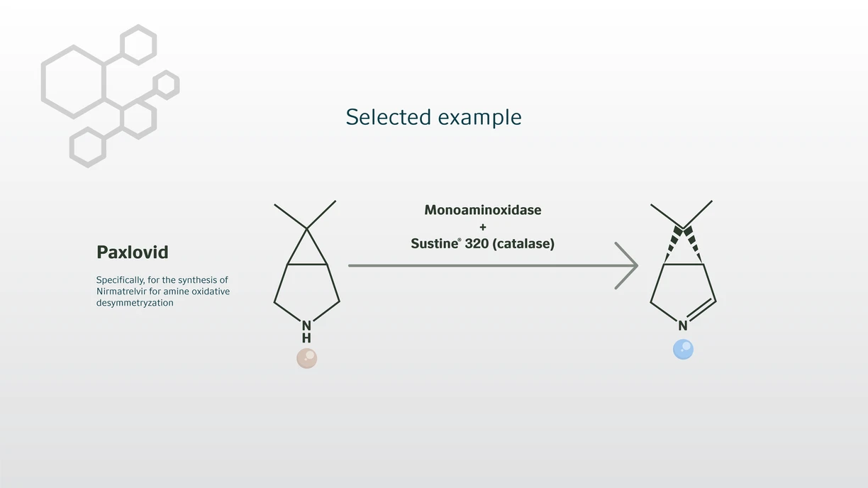 Oxidoreductases e2