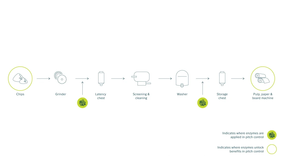 Pitch Process Flow final