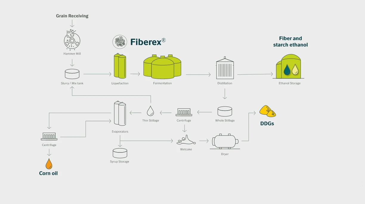 fiber conversion