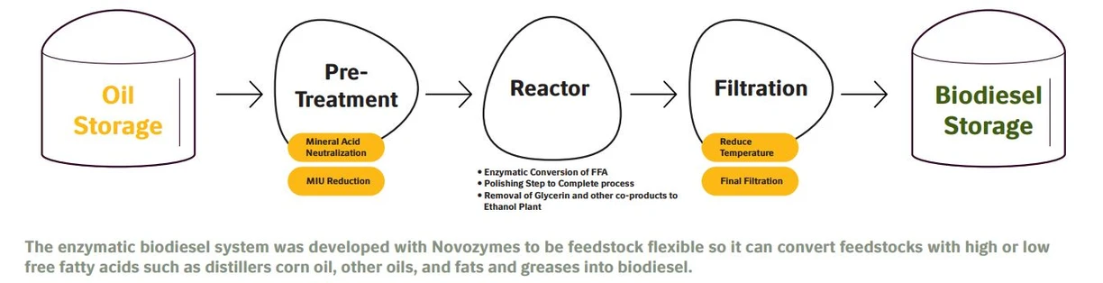 bioenergy