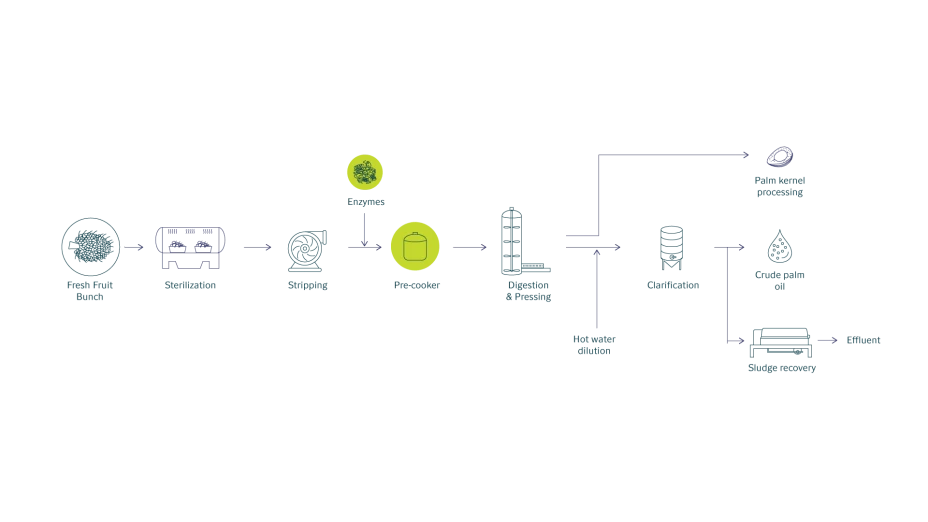 PalmOil_process