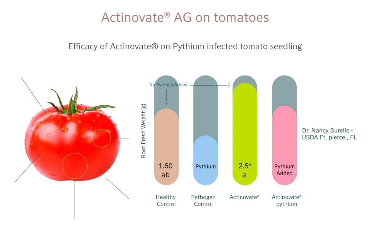 Actinovate®_on_tomatoes