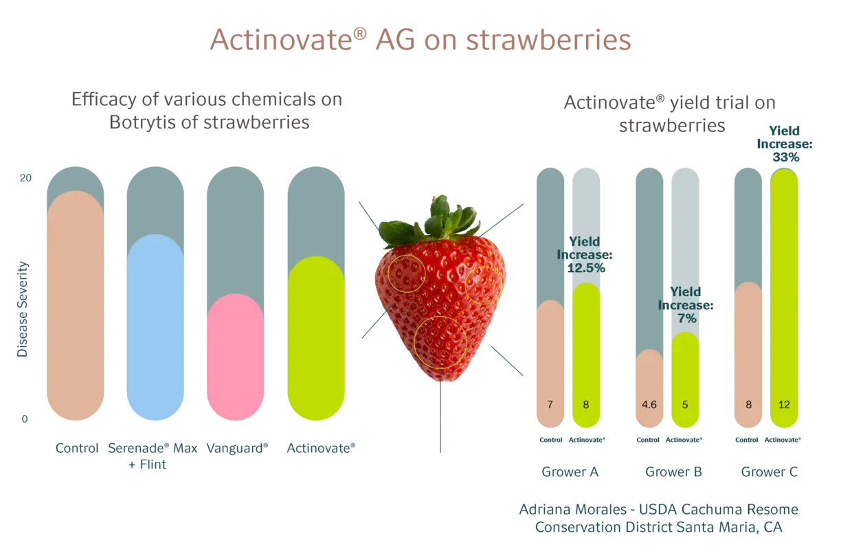 Actinovate®_on_strawberries