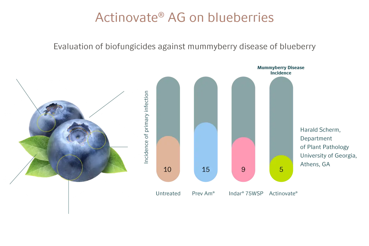 Actinovate®_on_blueberries