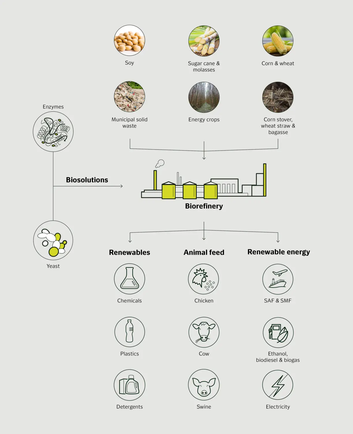 Biosolutions in Biorefinery - SAF and SMF infographic
