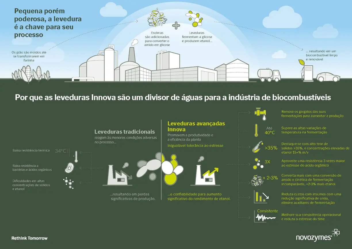 Bioenergy fermentation process for Innova Prime