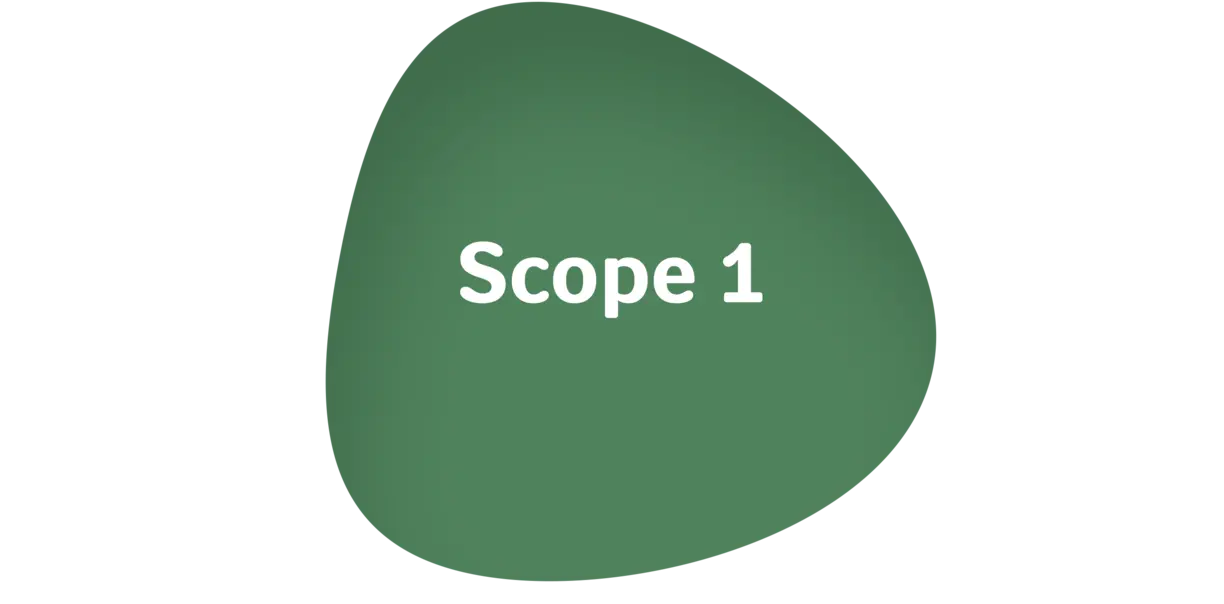Scope 1