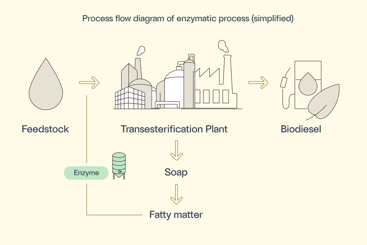 process flow diagram of enzymatic process to upgrade side-stream in chemical biodiesel plant 