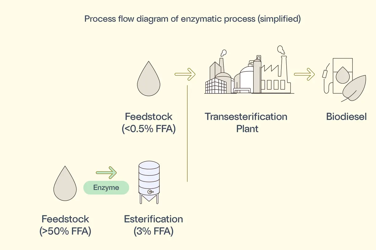 process flow diagram of enzymatic process for pre-esterification for chemical biodiesel plant