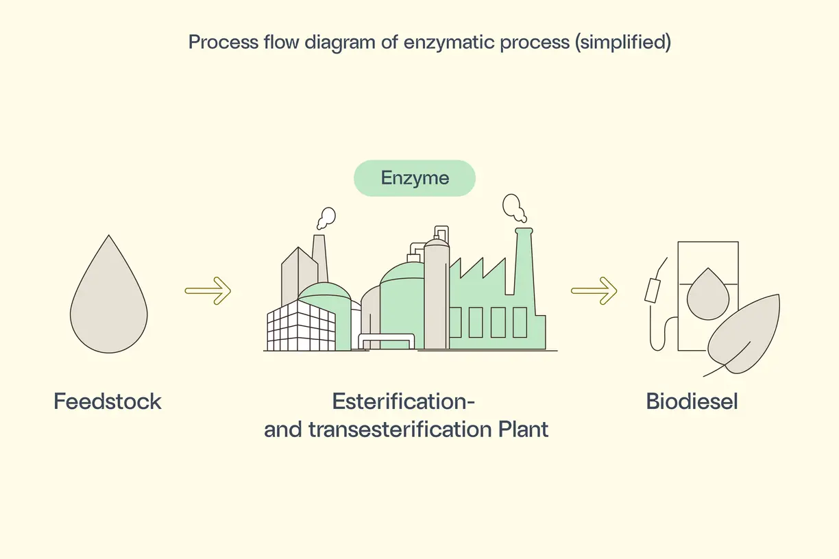 process flow diagram of enzymatic process for biodiesel from distillates