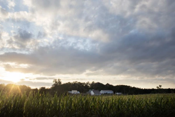 open field and a shining sun