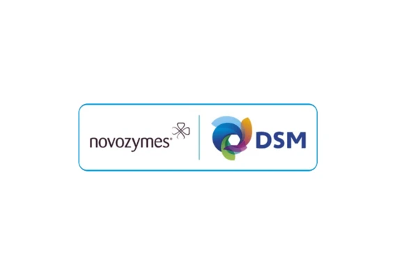 dsm