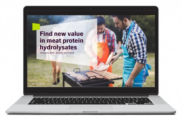 Find new value in meat protein hydrolysates brochure